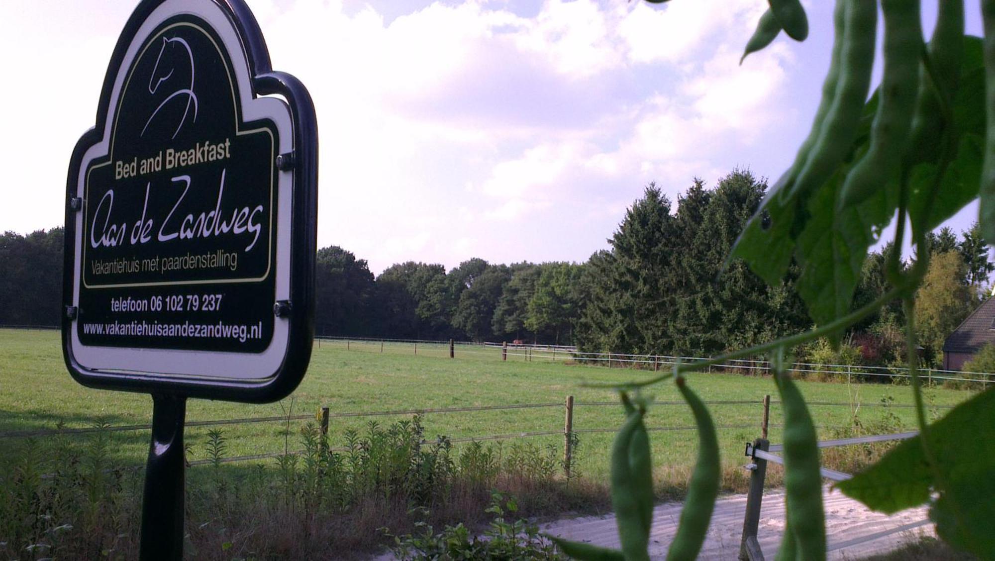 Vakantiehuis "Aan De Zandweg" Roderesch Esterno foto