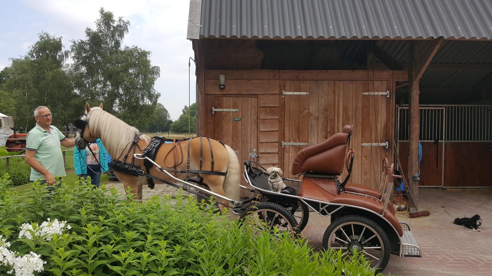 Vakantiehuis "Aan De Zandweg" Roderesch Esterno foto