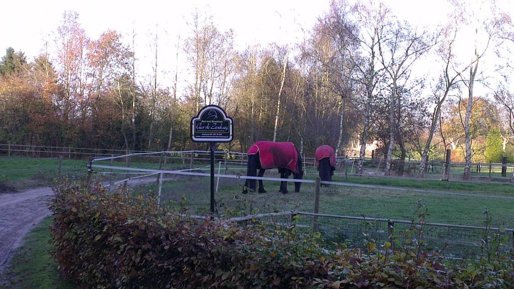 Vakantiehuis "Aan De Zandweg" Roderesch Camera foto