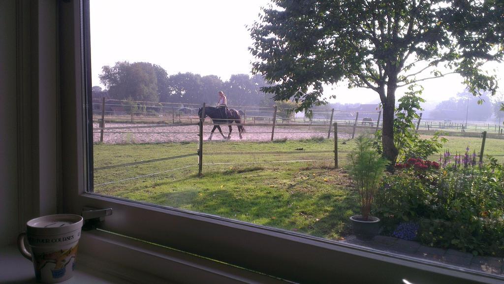 Vakantiehuis "Aan De Zandweg" Roderesch Camera foto
