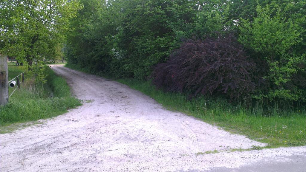 Vakantiehuis "Aan De Zandweg" Roderesch Esterno foto
